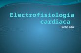 Electrofisiología cardiaca