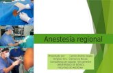 Anestesia regional anestesiologia