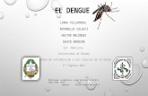 El dengue en Panamá: tipos, síntomas y prevención.