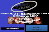 PERIODO PREEMBRIONARIO  EMBRIONARIO FETAL Y Circulación Fetal