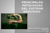 Principales patologias del sistema nervioso