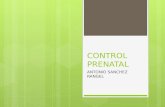 Control prenatal,enfoque de riesgo norm 007