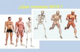 Sistema esqueletico y muscular.