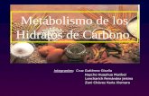 Metabolismo de los hidratos de carbono
