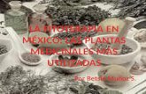 LA FITOTERAPIA EN MÉXICO: LAS PLANTAS MEDICINALES MÁS UTILIZADAS