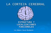 Localizacion cerebral