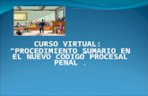 Presentacion Procedimiento Sumario Unidad 3 Curso Virtual CNJ