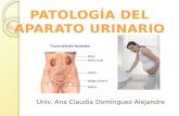 Patología aparato urinario en el embarazo