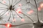 Epilèpsia (Cristian Pujulà)