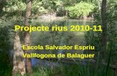 Projecte rius 2010 11