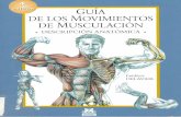 Guía de los movimientos de musculación.