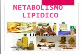 Metabolismo lipidico a