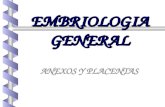 Histología: Embriología