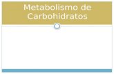 Metabolismo de hidratos de carbono