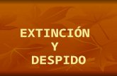 Ut 4  extincion despido