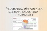 Biologia sistema endocrino blog