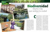 Biodiversidad en la ciudad. Artículo publicado en nuestro último número de Ciudad Sostenible (noviembre 2014)