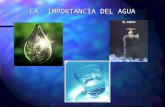 Importancia del agua_para_el_cerebro
