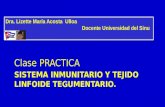 Atlas digital  de sistema inmune   tegumentario  publicar