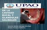 Patologias de la cavidad bucal y glandulas salibales Dr. Fonseca