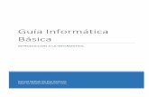 Informatica basica - organizacion