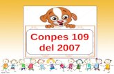 Conpes 109 DEL 2007