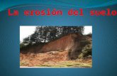 La erosión del suelo