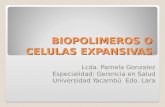 Biopolimeros o celulas expansivas