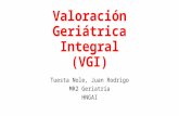 Valoración Geriátrica Integral (VGI)
