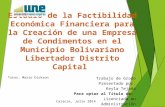 Factibilidad Económico Financiero_Tejada K