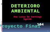 Proyecto final Deterioro Ambiental - 104