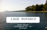 Lago rupanco