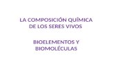 Ssvv bioquimica