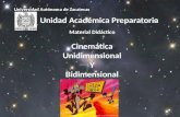 Movimiento Unidimensional (Cinemática)