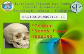 anatomia radiologica de craneo