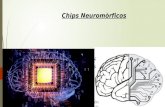 Chips neuromorficos eufemia