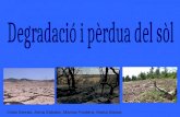 La degradació i pèrdua del sòl