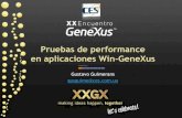 0164 pruebas de_performance_en_aplicaciones_win_gene_xus