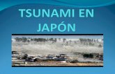 Presentación tsunami