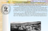 Historia de Tolosa, tradiciones y festejos.