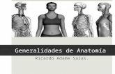 generalidades de la anatomia