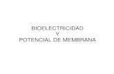 Bioelectricidad introducción