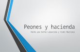 Peones y Haciendas,Nueva Espana