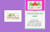Presentación institucional CECAIN