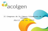 Acolgen Seguridad energética Colombiana - panel 3