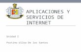 Aplicaciones y servicios de internet