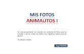 015 MIS FOTOS - ANIMALITOS I