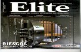 Articulo Revista Elite sobre delitos informáticos 2010