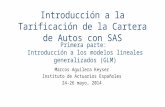 Introducción a la Tarificación de la Cartera de Autos con SAS