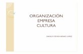 Cultura, empresa y organizacion